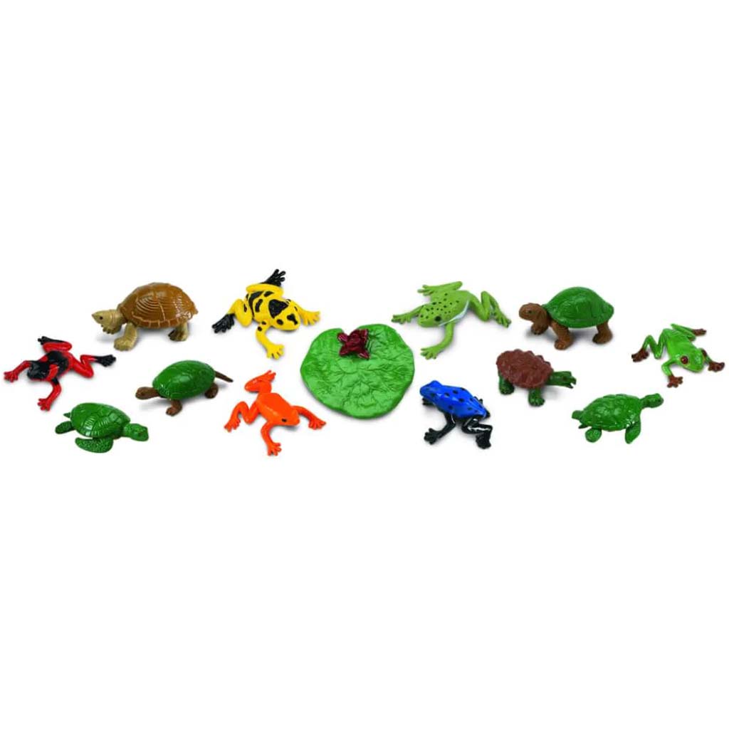 Frogs &amp; Turtles 