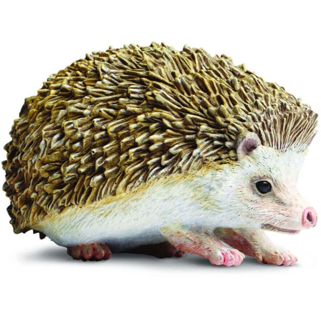 Hedgehog 