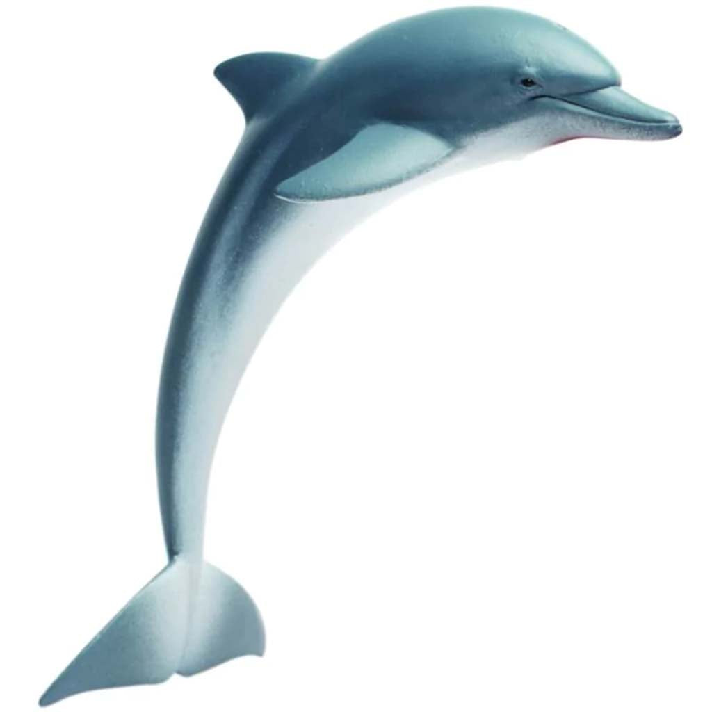 Sea Life Dolphin 