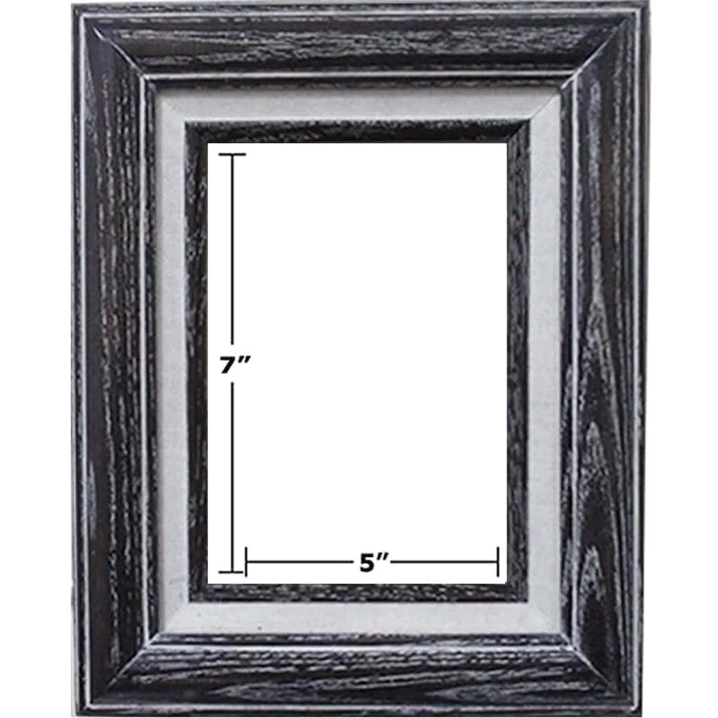 ASH GRAY W/OYS LINER PICTURE FRAMES 5in x 7in 