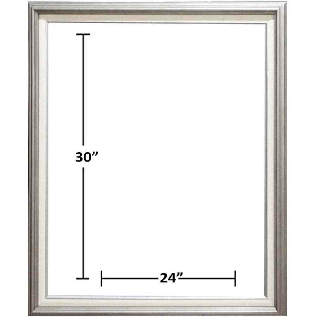 SLVR (NO BLUE) W/LNR 24X30 