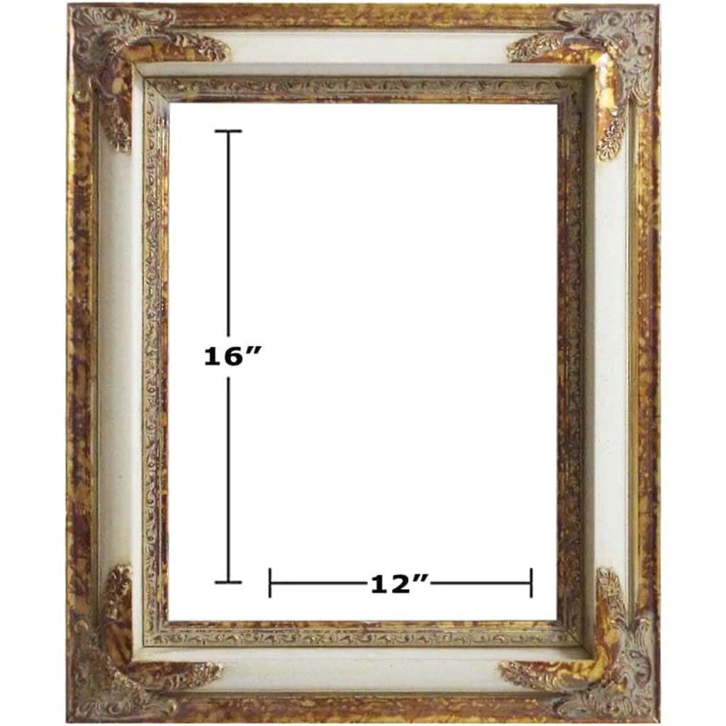 WHITE / GOLD PICTURE FRAMES 12in x 16in 