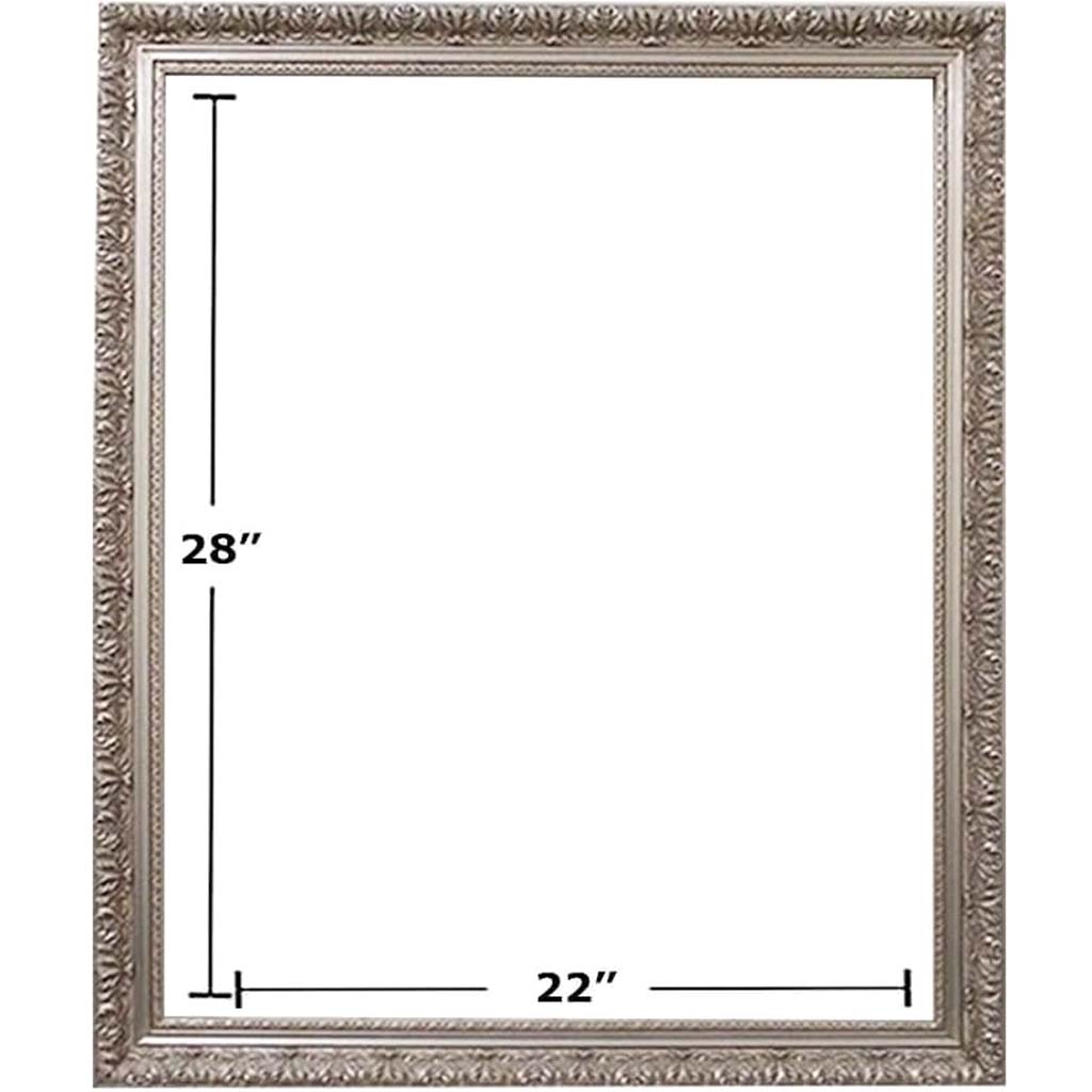 SILVER PICTURE FRAMES 22in x 28in 