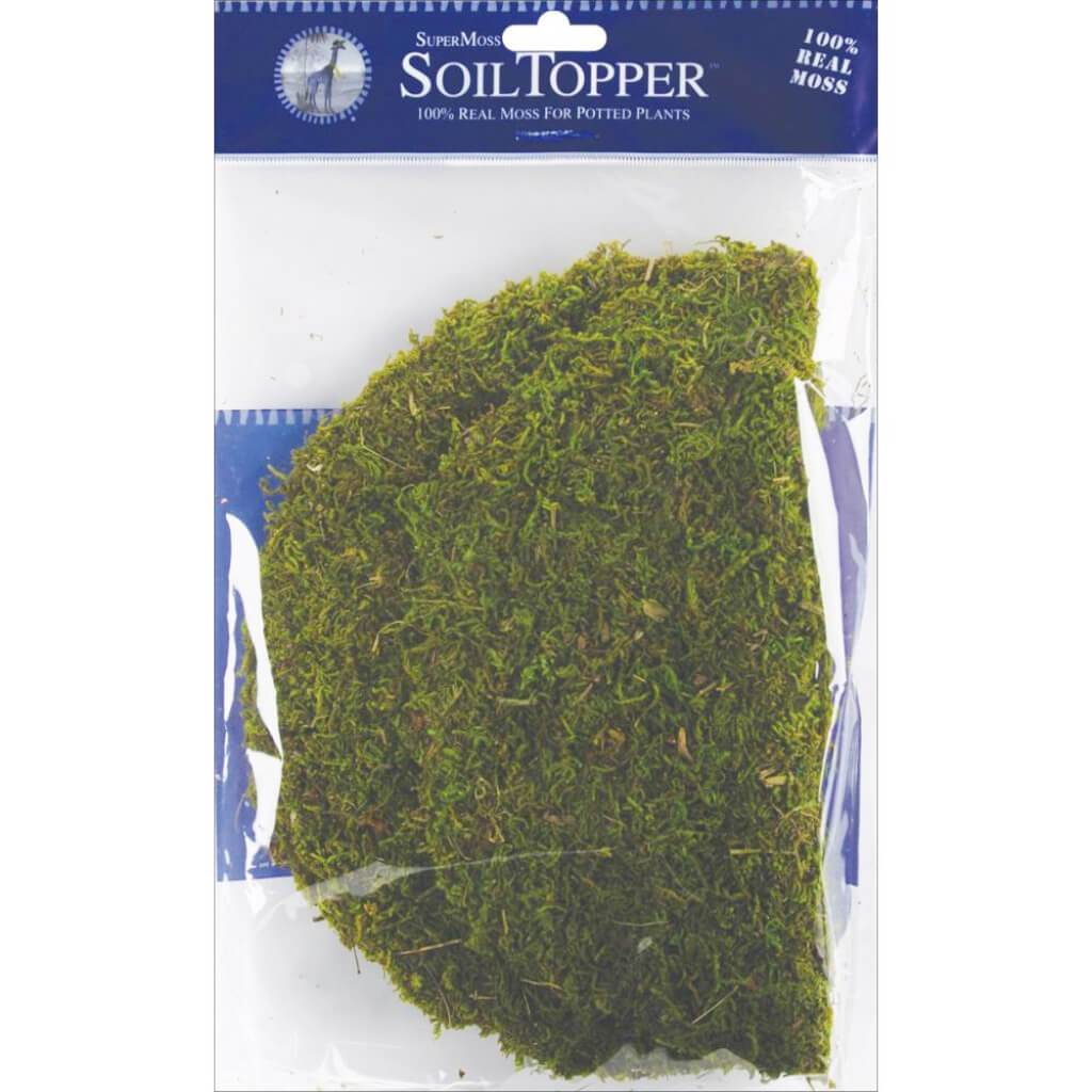 Moss Pot Toppers 10in 3 pc