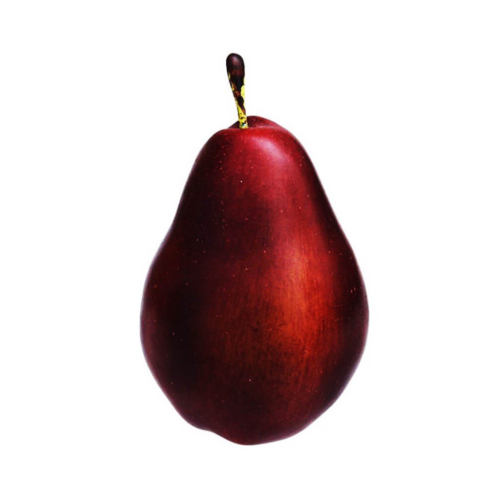 Pear 