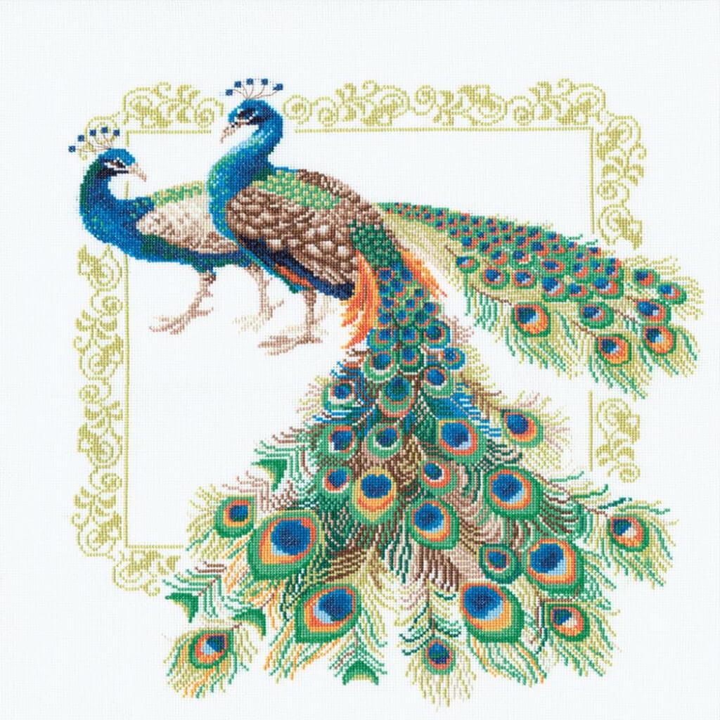 Counted Cross Stitch Kit Peacocks 19in x 19in