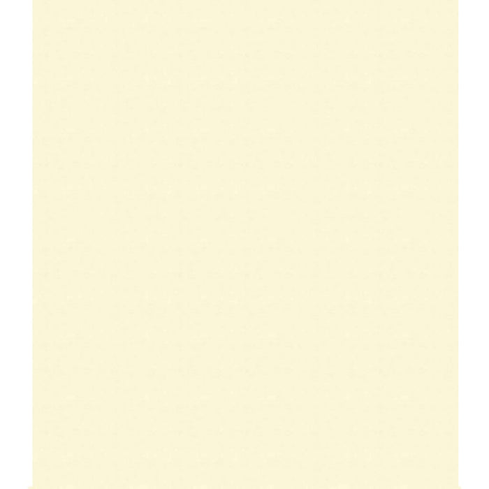 Art Board Bright Vanilla 16in x 20in
