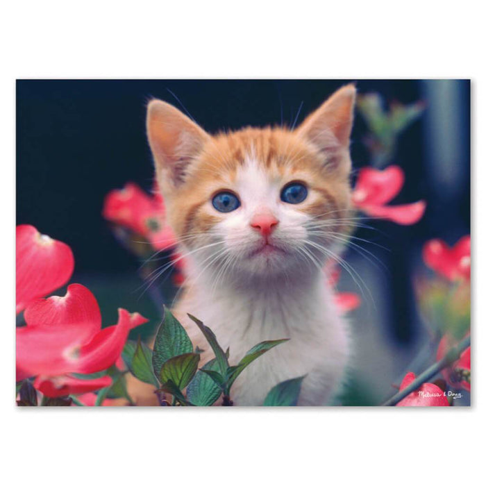 Puzzle Jigsaw Curious Kitten 