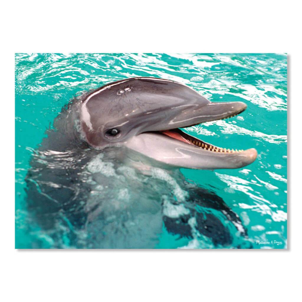 Puzzle Jigsaw Smile Dolphin 