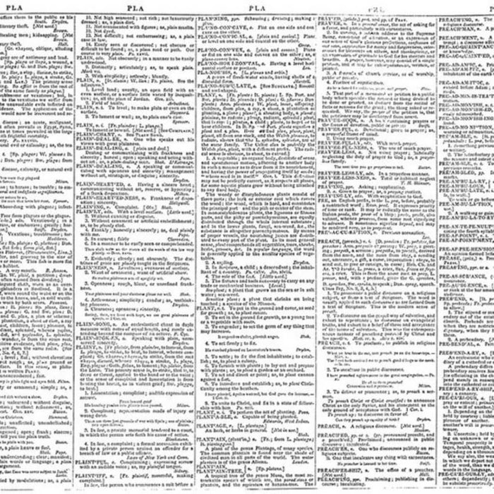 CARDSTOCK VELLUM DICTIONARY PRINT 12IN X 12IN 