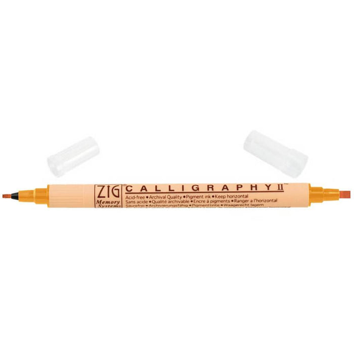 Zig Memory System Calligraphy Markers