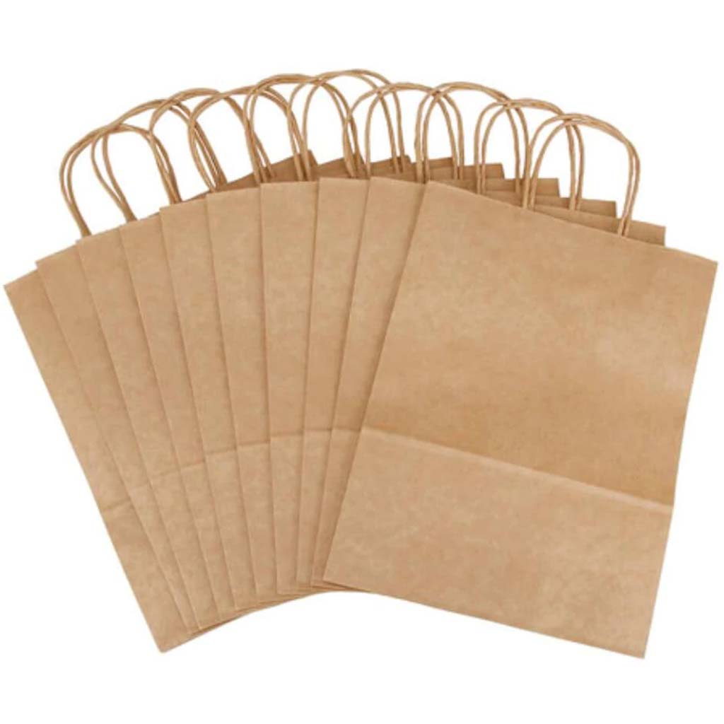 CRAFT BAG VALUE PACK 9 3/4X 12 3/4X4 3/4 KRAFT 