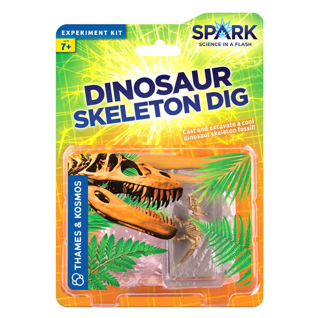 Dinosaur Skeleton Dig 