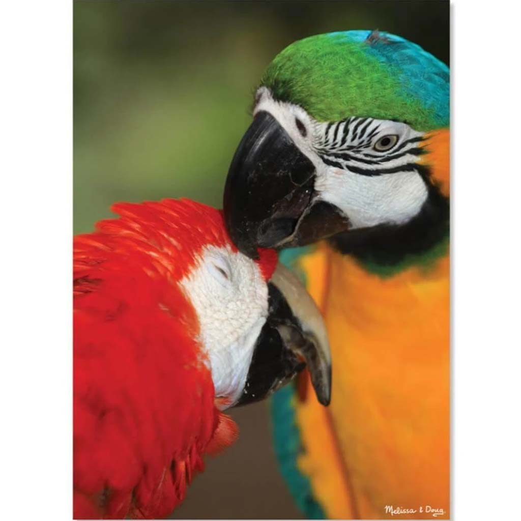 300 Pc Parrot Pals Cardboard Jigsaw 