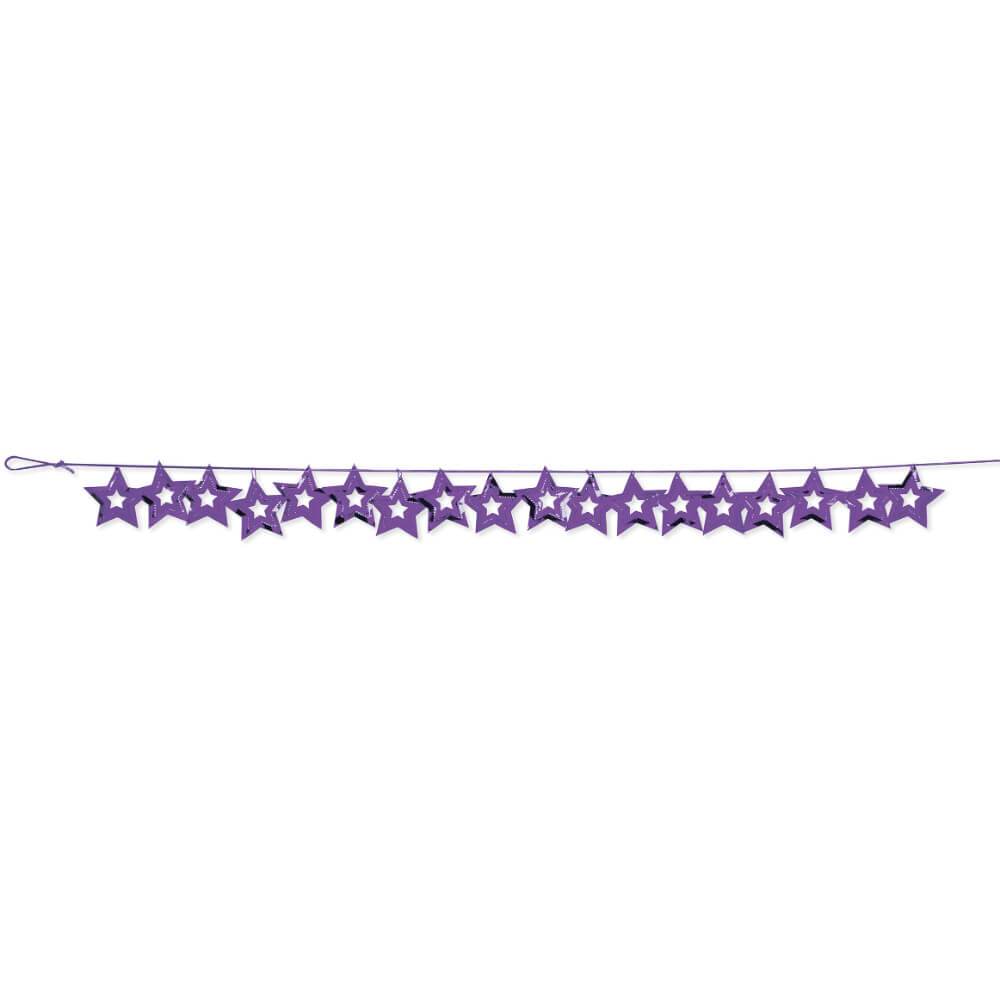 Gar Conf 12/1Ct Purple 9Ft 