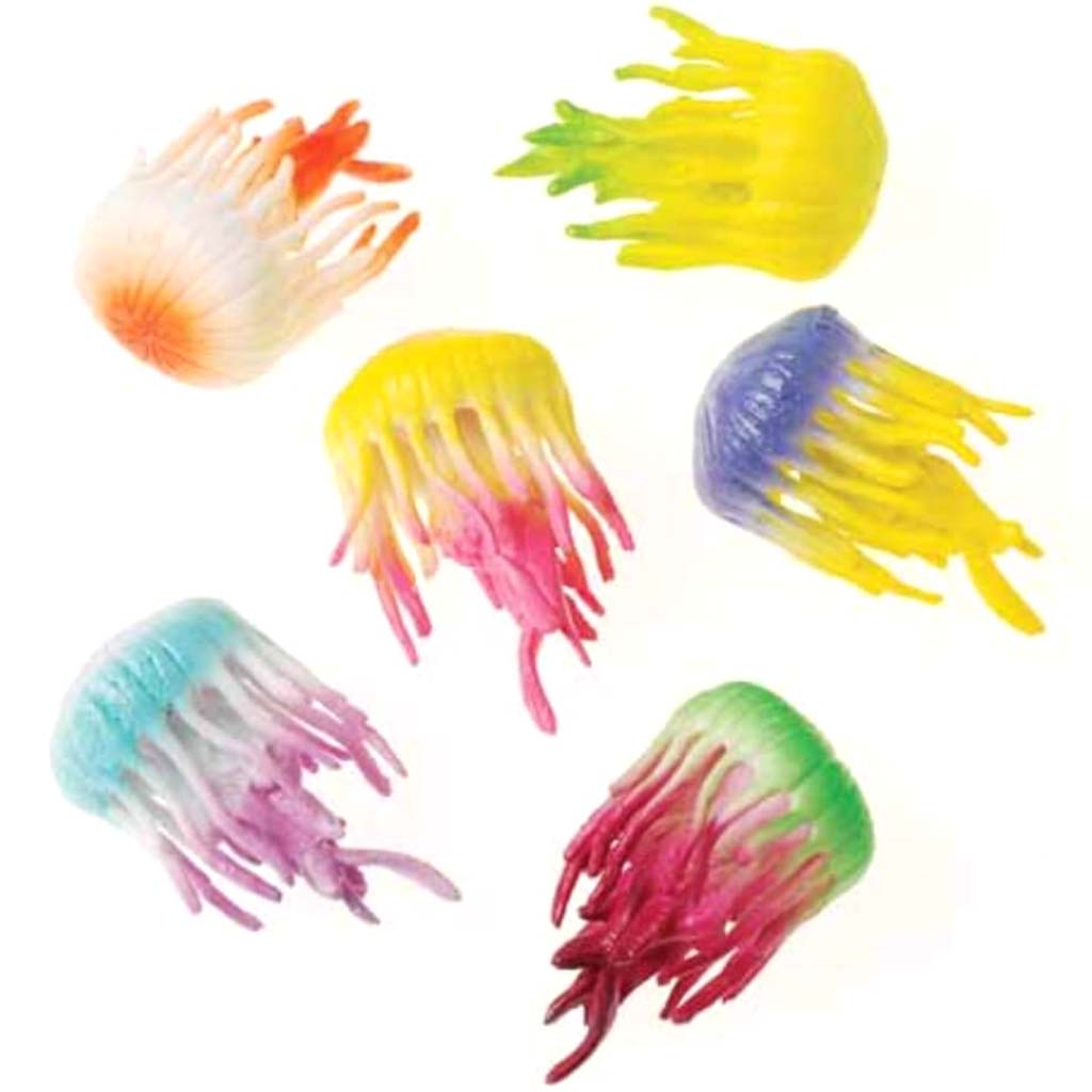 Jellyfish 24-Pc 