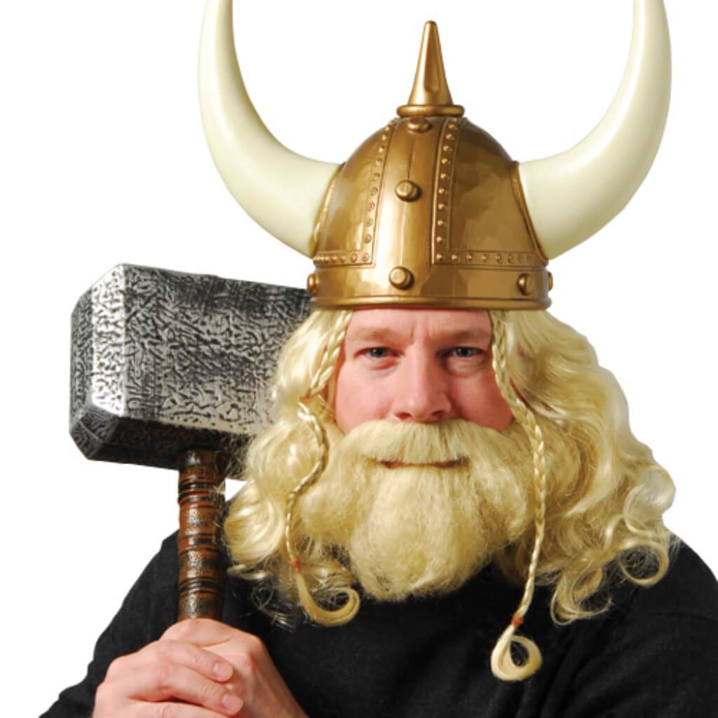 Viking Wig &amp; Beard Set 