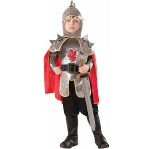 Silver Knight Costume