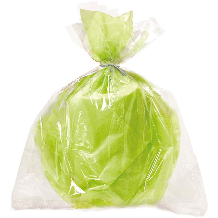 Cellophane Bags 20in x 16in 6ct, Clear Large 