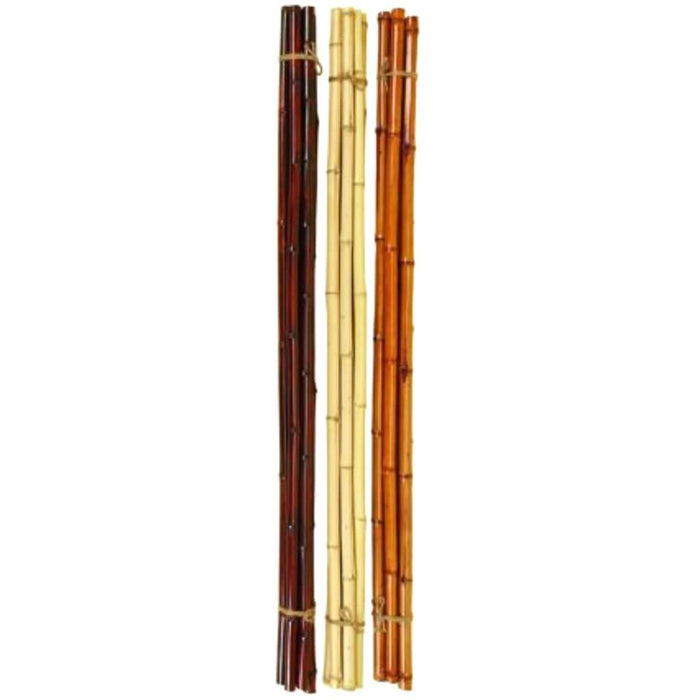 Bamboo 3 Assorted 5 Bunch 72 in