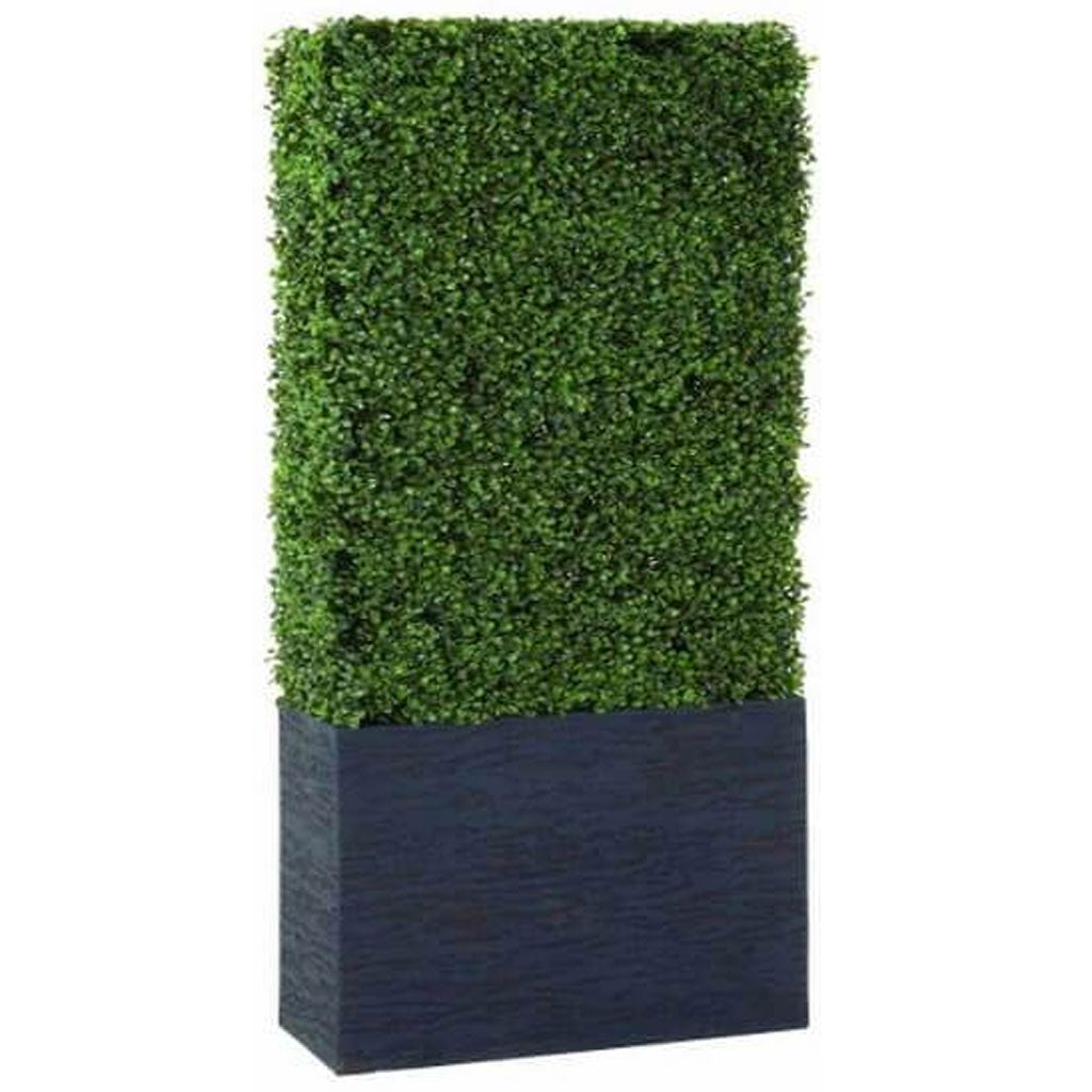 Boxwood Hedge 22in W, 59in H