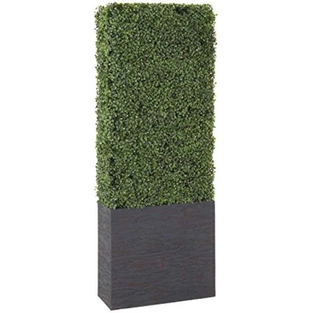 Boxwood Hedge 29in W, 66in H