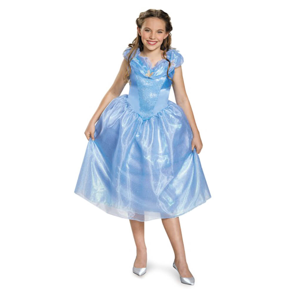 Cinderella Costume