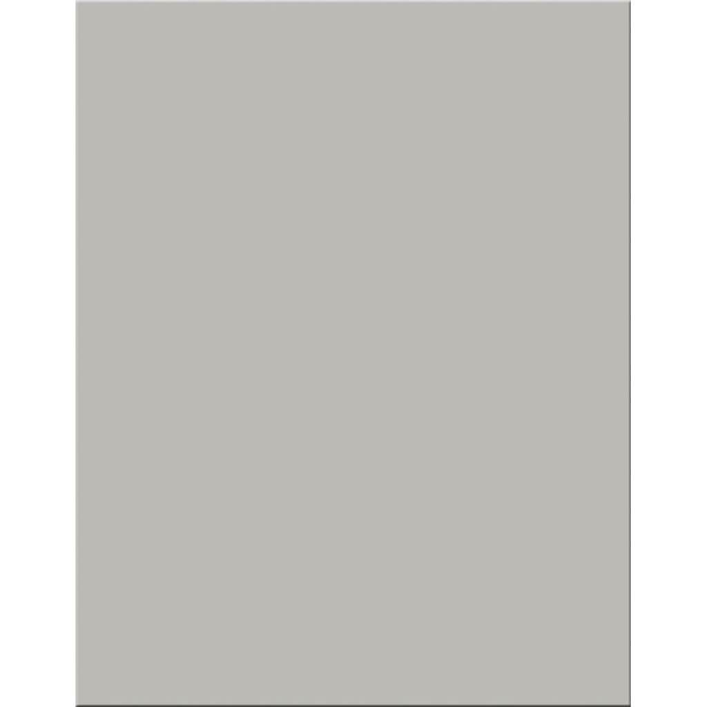 Premium Coated Poster Board 22in x 28in Gray