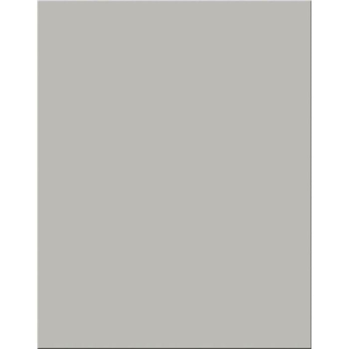 Premium Coated Poster Board 22in x 28in Gray