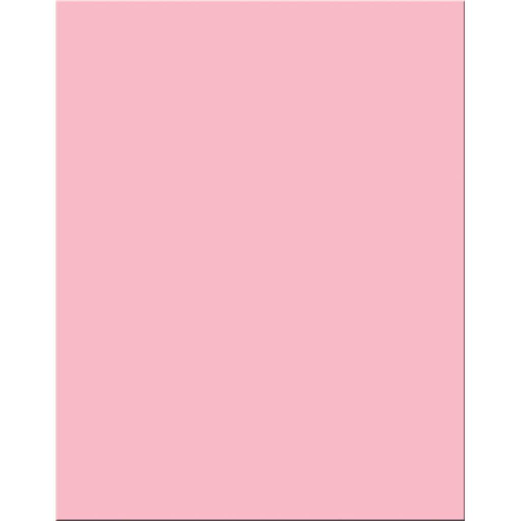 Premium Coated Poster Board 22in x 28in Pink