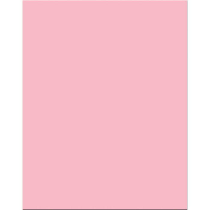 Premium Coated Poster Board 22in x 28in Pink