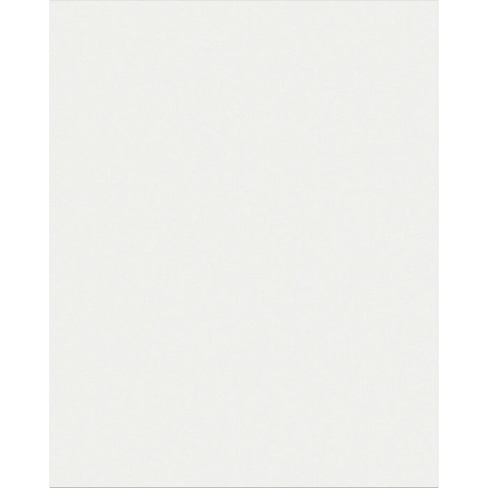 Plastic Poster Board 22in x 28in Clear