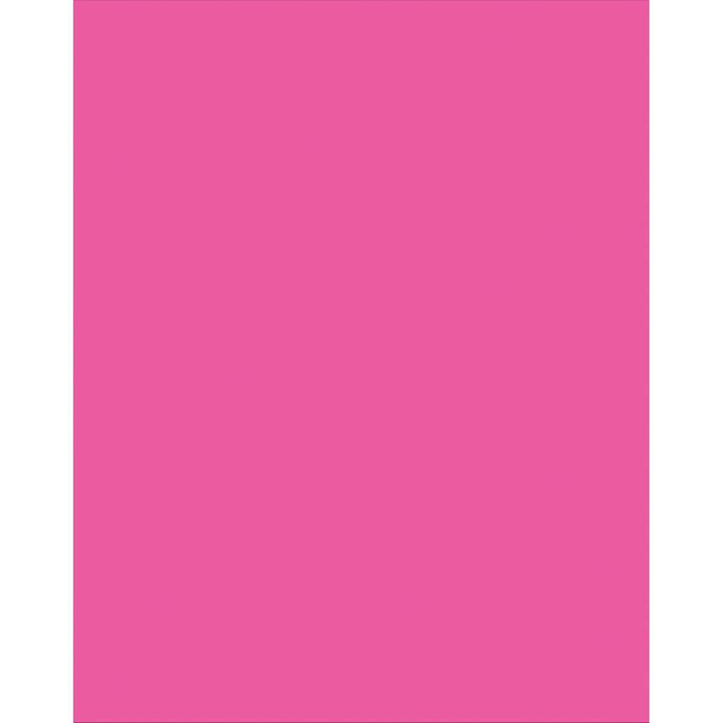 Plastic Poster Board 22in x 28in Neon Pink