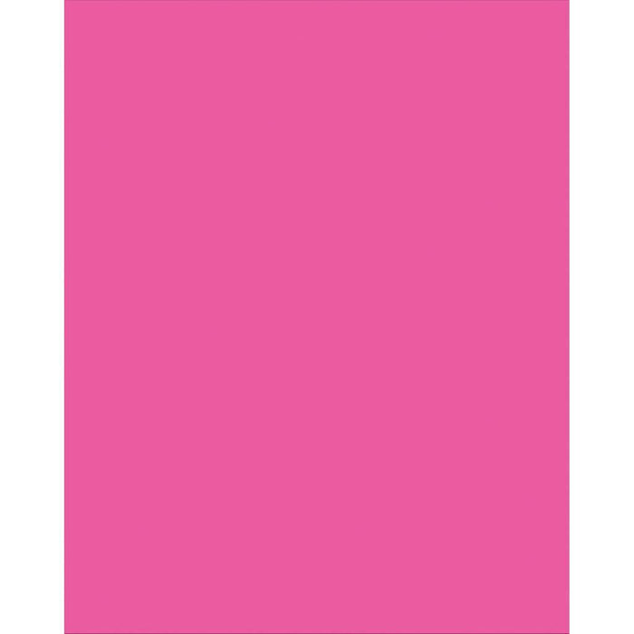Plastic Poster Board 22in x 28in Neon Pink