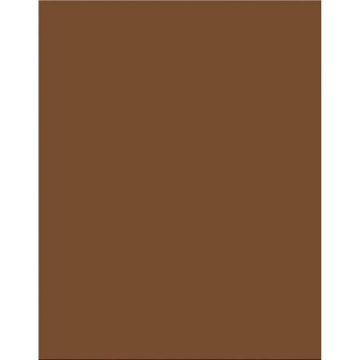 Premium Coated Poster Board 22in x 28in Brown