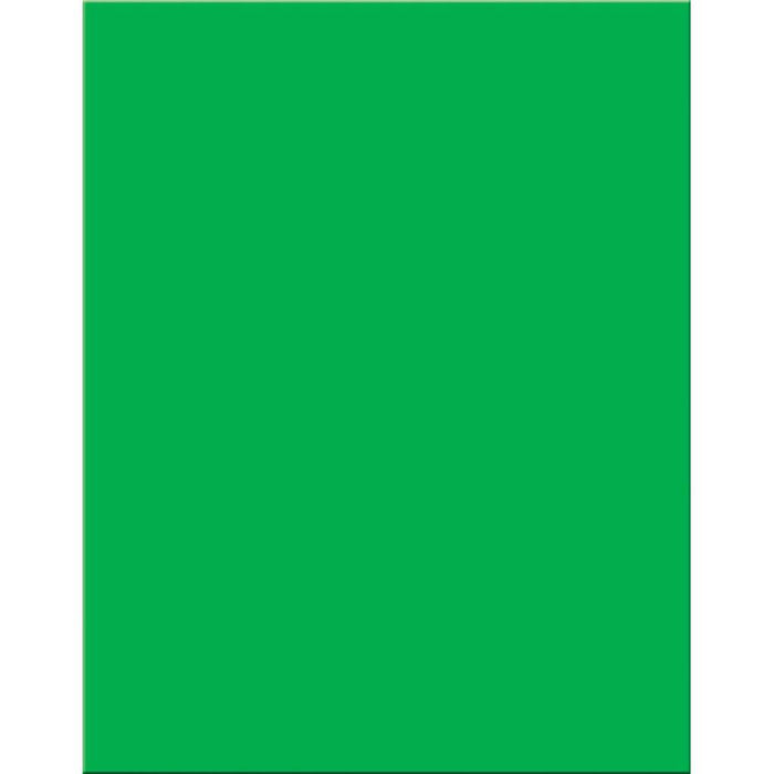 Premium Coated Poster Board 22in x 28in Green