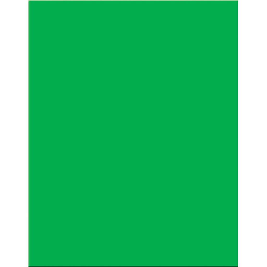 Premium Coated Poster Board 22in x 28in Green