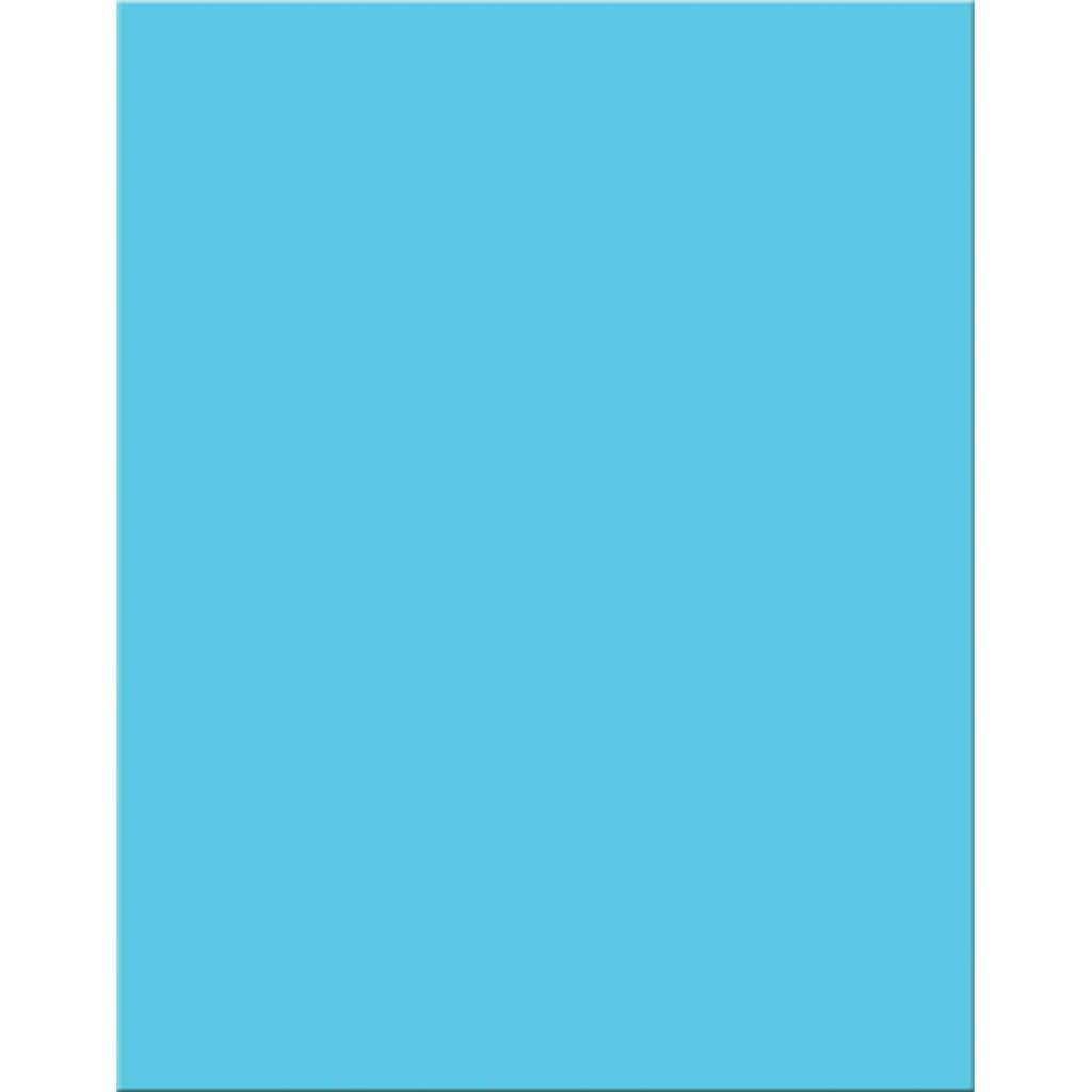 Premium Coated Poster Board 22in x 28in Light Blue