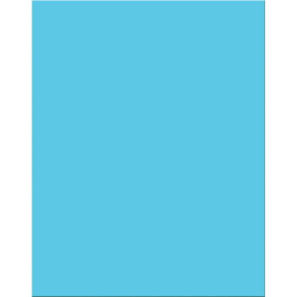 Premium Coated Poster Board 22in x 28in Light Blue