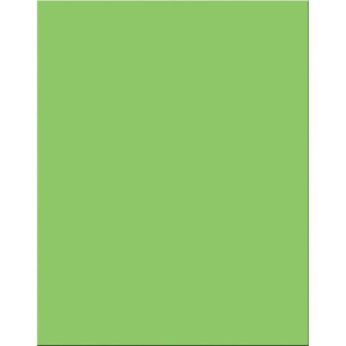 Premium Coated Poster Board 22in x 28in Light Green