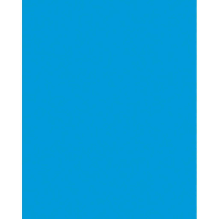 Premium Coated Poster Board 22in x 28in Hot Blue
