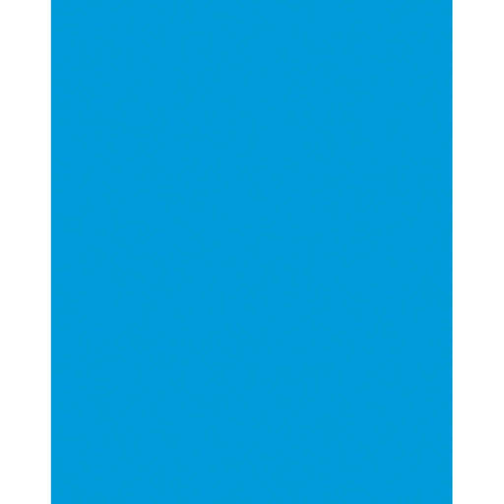 Premium Coated Poster Board 22in x 28in Hot Blue