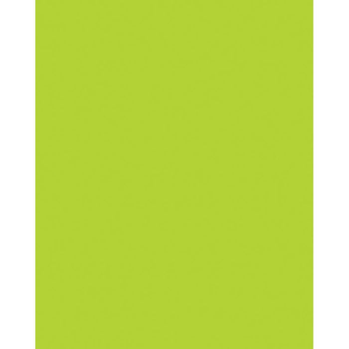 Premium Coated Poster Board 22in x 28in Hot Lime
