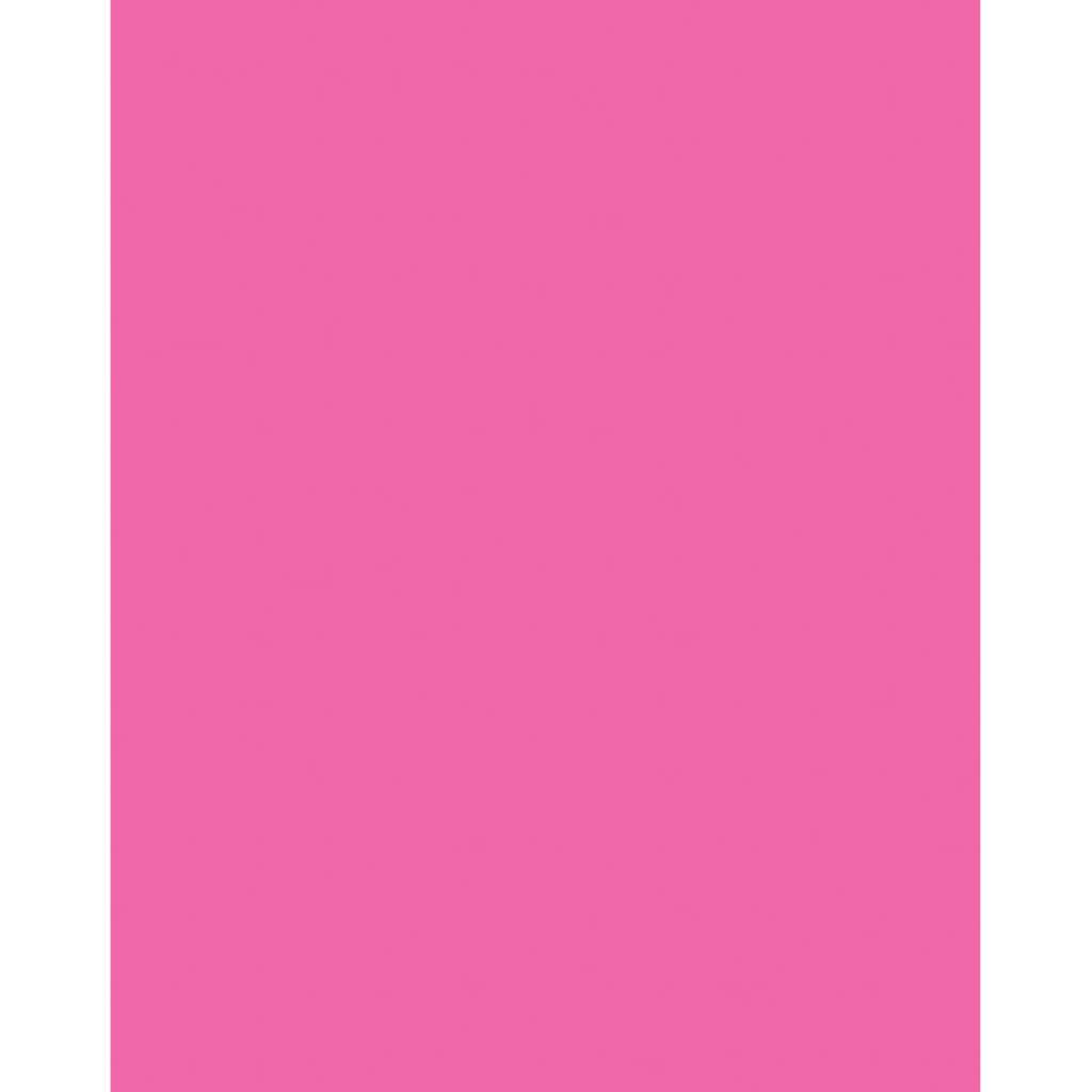 Premium Coated Poster Board 22in x 28in Neon Pink