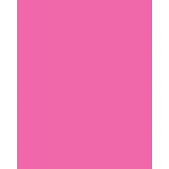 Premium Coated Poster Board 22in x 28in Neon Pink