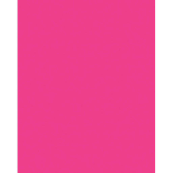 Premium Coated Poster Board 22in x 28in Hot Raspberry
