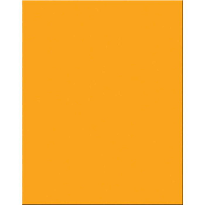 Premium Coated Poster Board 22in x 28in Orange