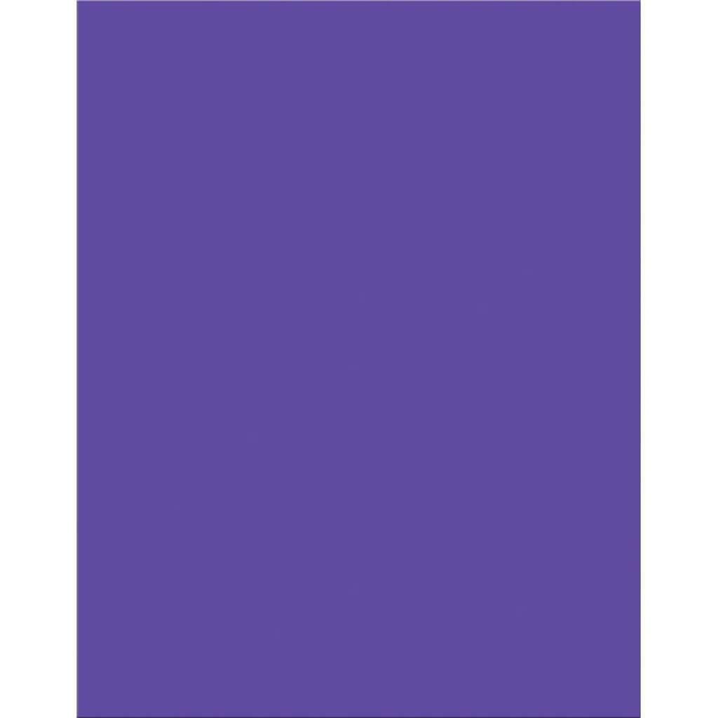 Premium Coated Poster Board 22in x 28in Purple