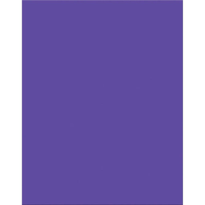 Premium Coated Poster Board 22in x 28in Purple