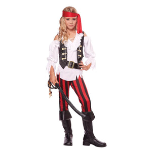 Posh Pirate Costume